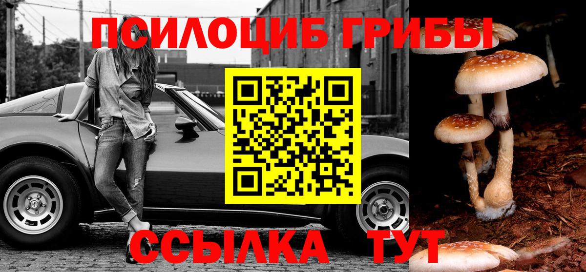 Красноперекопск  Галлюциногенные грибы Psilocybine cubensis  Вход с VPN 